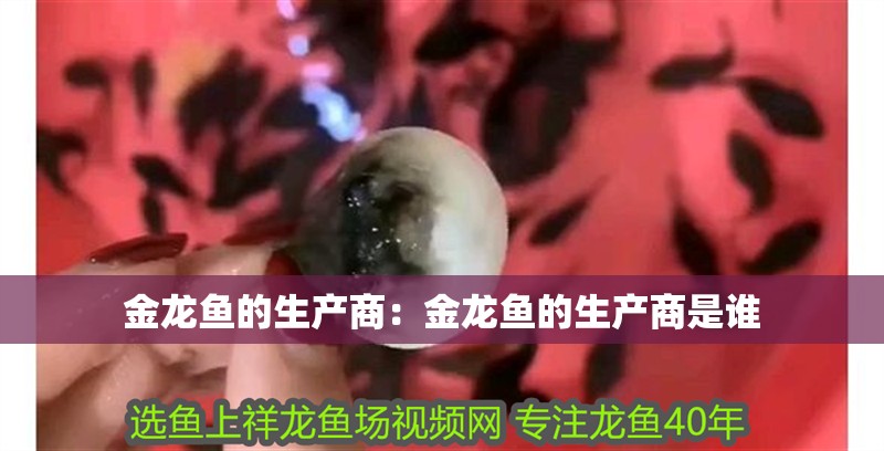 金龍魚的生產商：金龍魚的生產商是誰 金龍魚的生產商：金龍魚的生產商是誰 水族問答
