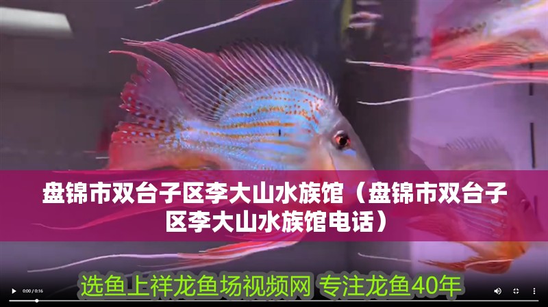 盤錦市雙臺子區李大山水族館（盤錦市雙臺子區李大山水族館電話） 盤錦市雙臺子區李大山水族館（盤錦市雙臺子區李大山水族館電話） 全國水族館企業名錄 第2張