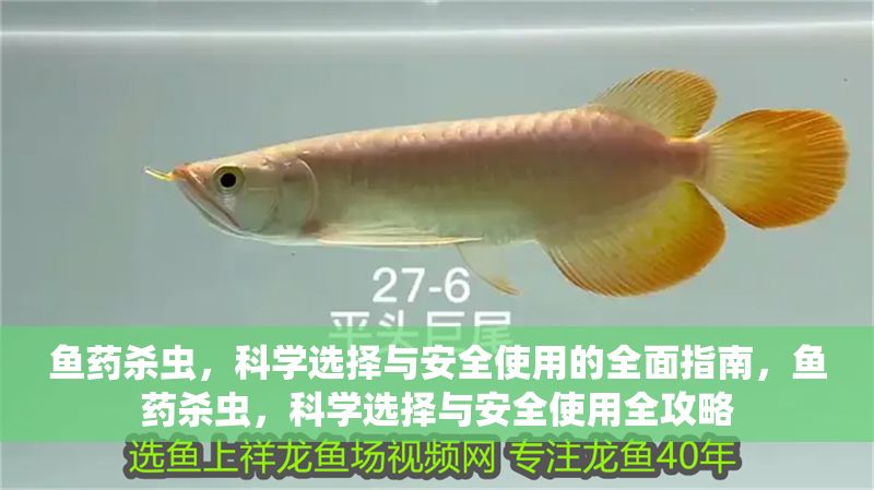 魚藥殺蟲，科學選擇與安全使用的全面指南，魚藥殺蟲，科學選擇與安全使用全攻略