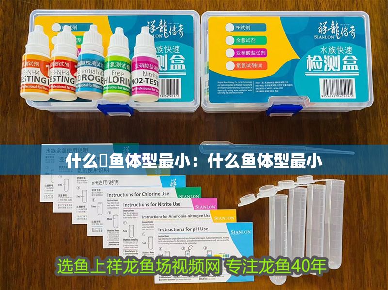 什么魟魚體型最小：什么魚體型最小