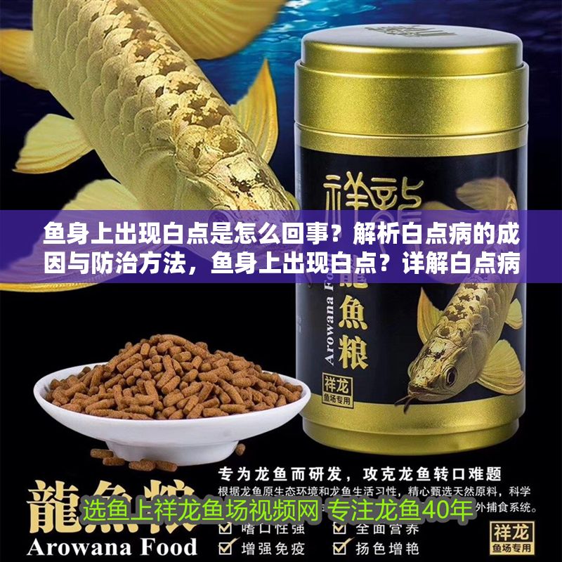魚身上出現白點是怎么回事？解析白點病的成因與防治方法，魚身上出現白點？詳解白點病的成因與防治方法