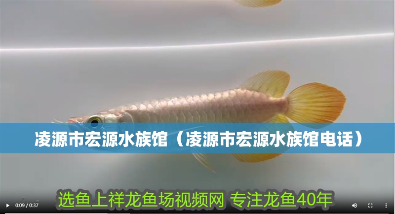 凌源市宏源水族館（凌源市宏源水族館電話）