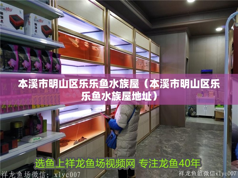 本溪市明山區樂樂魚水族屋（本溪市明山區樂樂魚水族屋地址）