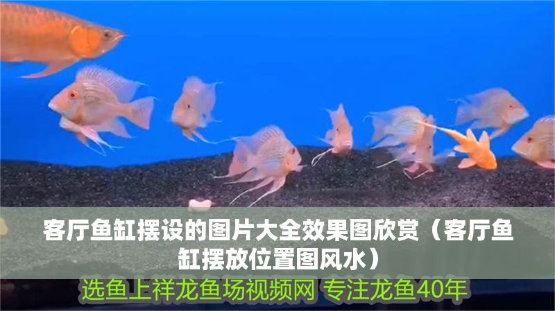 客廳魚缸擺設的圖片大全效果圖欣賞（客廳魚缸擺放位置圖風水）