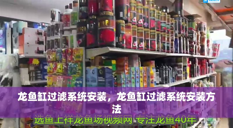 龍魚缸過濾系統安裝，龍魚缸過濾系統安裝方法 龍魚缸過濾系統安裝，龍魚缸過濾系統安裝方法 魚缸百科 第2張