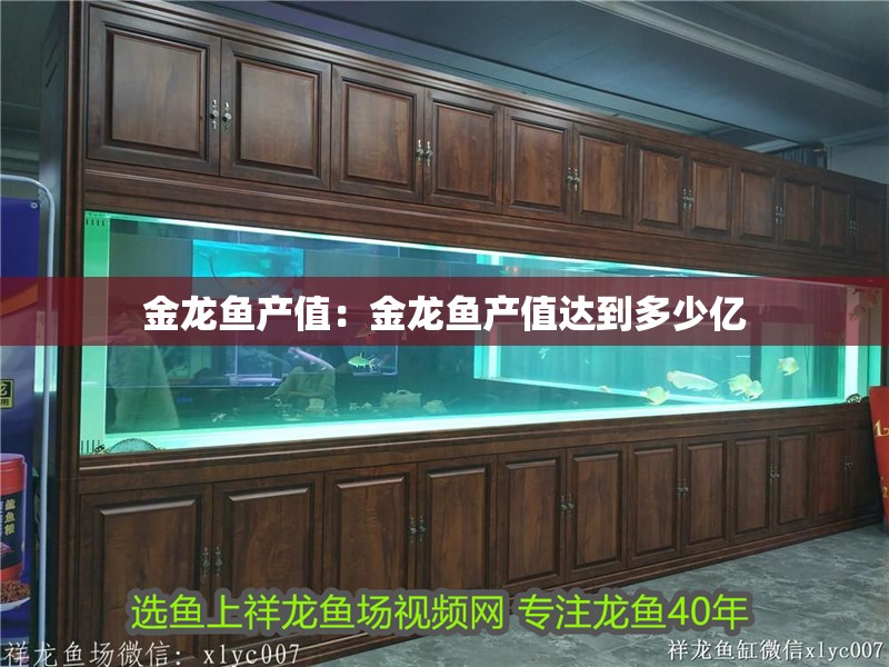 金龍魚產值：金龍魚產值達到多少億