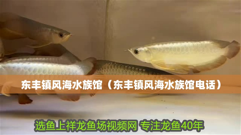 東豐鎮(zhèn)風(fēng)海水族館（東豐鎮(zhèn)風(fēng)海水族館電話）