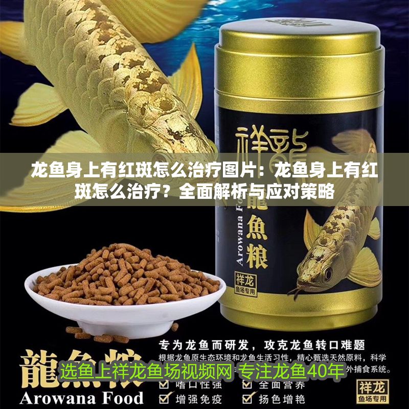 龍魚身上有紅斑怎么治療圖片：龍魚身上有紅斑怎么治療？全面解析與應對策略