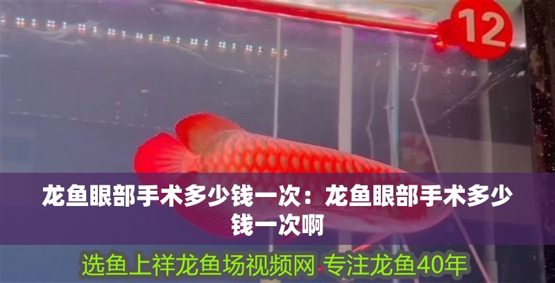 龍魚眼部手術(shù)多少錢一次：龍魚眼部手術(shù)多少錢一次啊