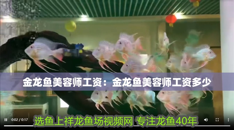 金龍魚(yú)美容師工資：金龍魚(yú)美容師工資多少