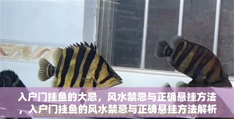 入戶門掛魚的大忌，風水禁忌與正確懸掛方法，入戶門掛魚的風水禁忌與正確懸掛方法解析