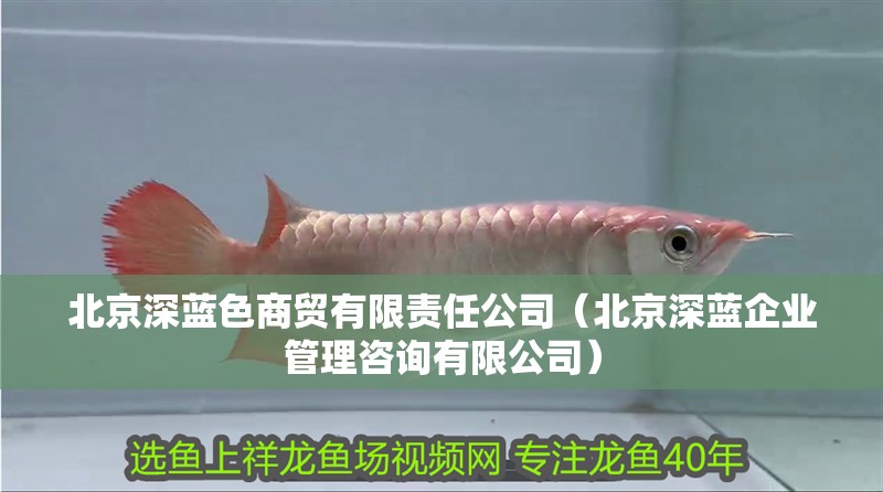 北京深藍(lán)色商貿(mào)有限責(zé)任公司（北京深藍(lán)企業(yè)管理咨詢有限公司）