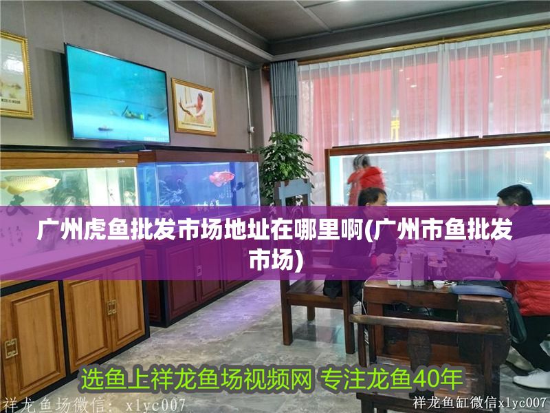 廣州虎魚批發(fā)市場地址在哪里啊(廣州市魚批發(fā)市場)