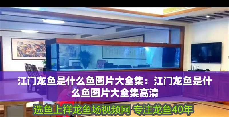 森森定時轉(zhuǎn)換器說明書DC-01