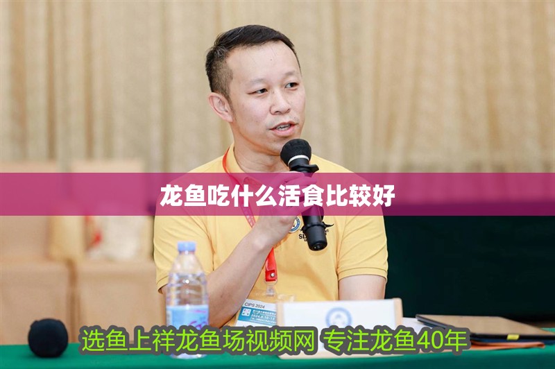 龍魚吃什么活食比較好