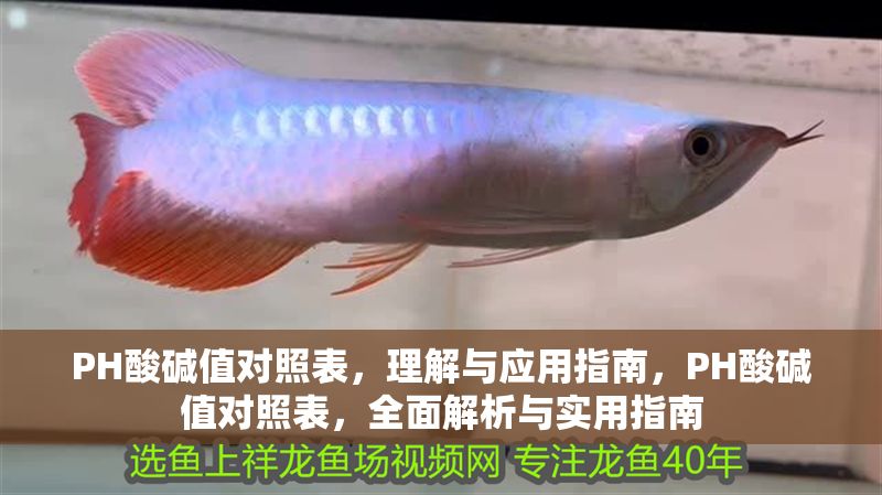 PH酸堿值對照表，理解與應用指南，PH酸堿值對照表，全面解析與實用指南