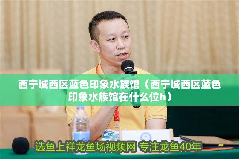 西寧城西區藍色印象水族館（西寧城西區藍色印象水族館在什么位h） 西寧城西區藍色印象水族館（西寧城西區藍色印象水族館在什么位h） 全國水族館企業名錄 第1張