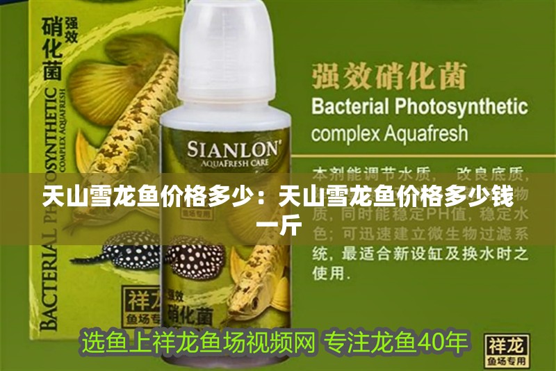 天山雪龍魚價格多少：天山雪龍魚價格多少錢一斤