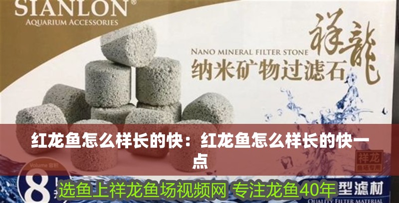 紅龍魚怎么樣長的快：紅龍魚怎么樣長的快一點 紅龍魚怎么樣長的快：紅龍魚怎么樣長的快一點 水族問答