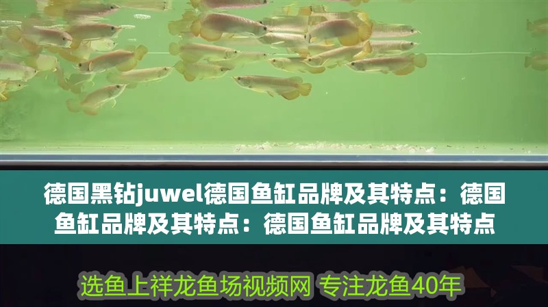 德國黑鉆juwel德國魚缸品牌及其特點：德國魚缸品牌及其特點：德國魚缸品牌及其特點 德國黑鉆juwel德國魚缸品牌及其特點：德國魚缸品牌及其特點：德國魚缸品牌及其特點 魚缸百科