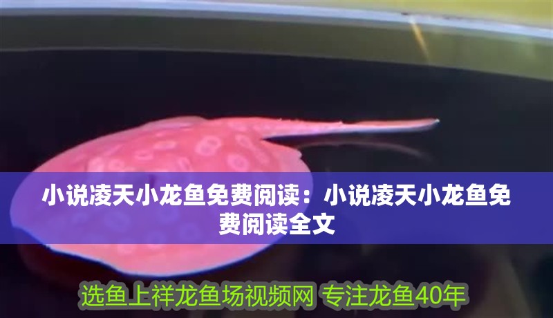 小說凌天小龍魚免費閱讀：小說凌天小龍魚免費閱讀全文