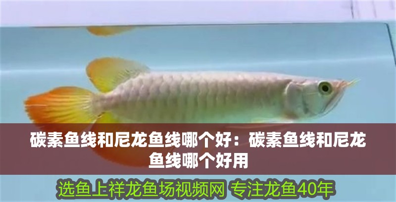 碳素魚線和尼龍魚線哪個好：碳素魚線和尼龍魚線哪個好用