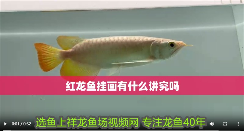 紅龍魚掛畫有什么講究嗎