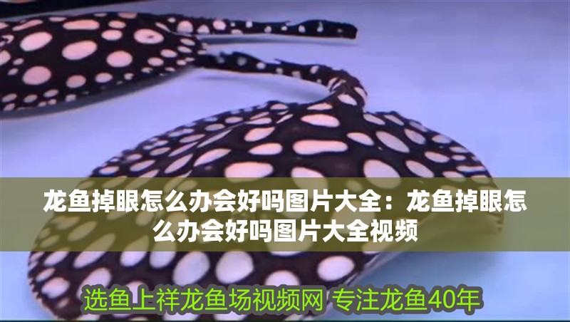 龍魚掉眼怎么辦會好嗎圖片大全：龍魚掉眼怎么辦會好嗎圖片大全視頻