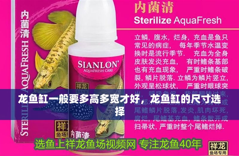 龍魚缸一般要多高多寬才好，龍魚缸的尺寸選擇