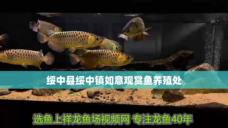 綏中縣綏中鎮如意觀賞魚養殖處