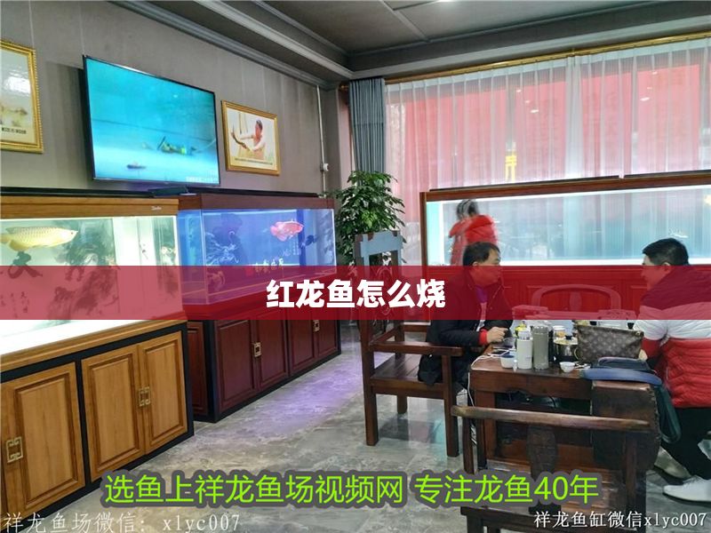 紅龍魚怎么燒 龍魚百科 第1張 紅龍魚怎么燒 紅龍魚怎么燒 龍魚百科 第1張