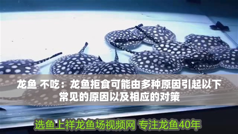 龍魚 不吃：龍魚拒食可能由多種原因引起以下常見的原因以及相應的對策 龍魚 不吃：龍魚拒食可能由多種原因引起以下常見的原因以及相應的對策 龍魚百科 第2張