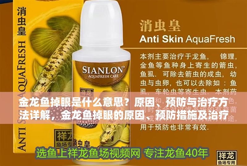 金龍魚掉眼是什么意思？原因、預防與治療方法詳解，金龍魚掉眼的原因、預防措施及治療方法全解析