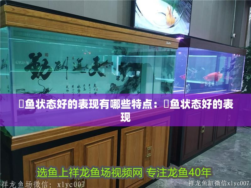 魟魚狀態好的表現有哪些特點：魟魚狀態好的表現 魟魚狀態好的表現有哪些特點：魟魚狀態好的表現 魟魚百科 第2張