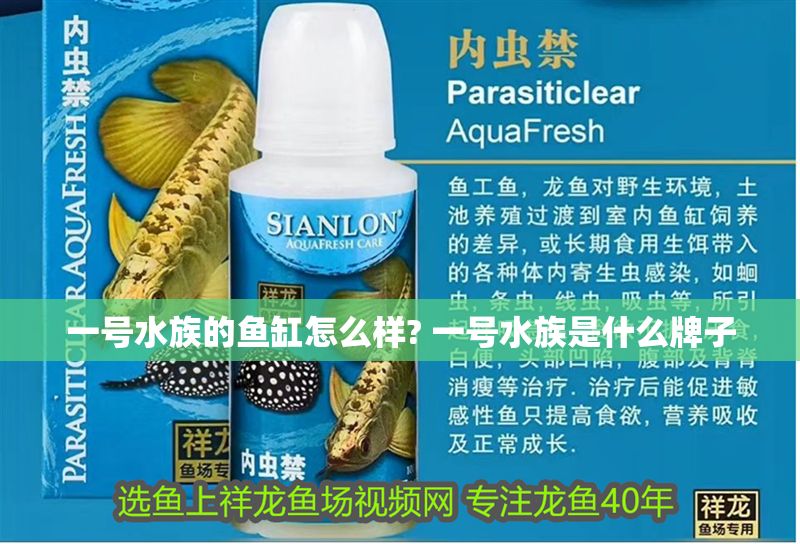 一號水族的魚缸怎么樣? 一號水族是什么牌子 一號水族的魚缸怎么樣? 一號水族是什么牌子 魚缸百科 第1張