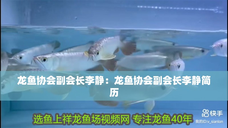 龍魚協會副會長李靜：龍魚協會副會長李靜簡歷