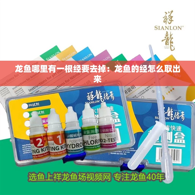 龍魚哪里有一根經(jīng)要去掉：龍魚的經(jīng)怎么取出來