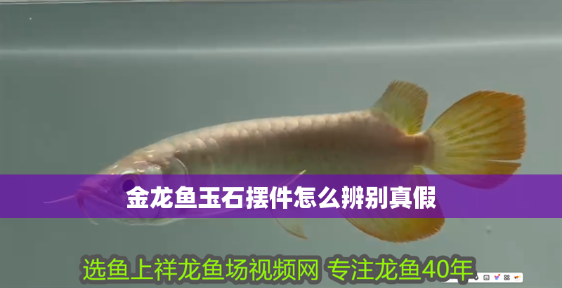 金龍魚玉石擺件怎么辨別真假