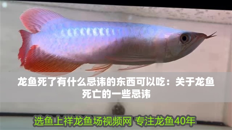 龍魚死了有什么忌諱的東西可以吃：關于龍魚死亡的一些忌諱