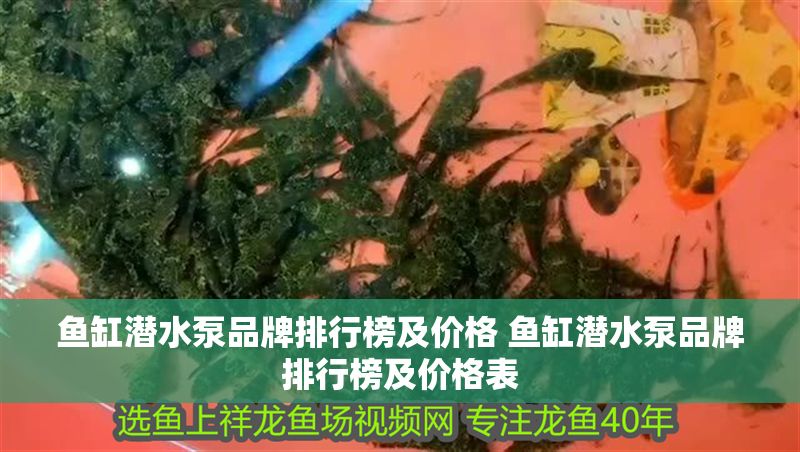 魚缸潛水泵品牌排行榜及價格 魚缸潛水泵品牌排行榜及價格表
