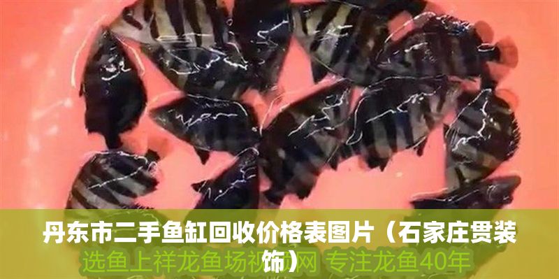 丹東市二手魚缸回收價格表圖片（石家莊貫裝飾）