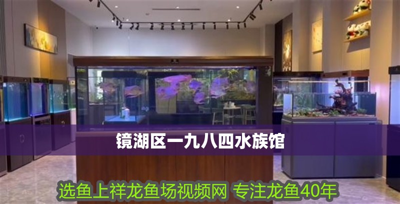 鏡湖區(qū)一九八四水族館 鏡湖區(qū)一九八四水族館 全國(guó)水族館企業(yè)名錄 第2張