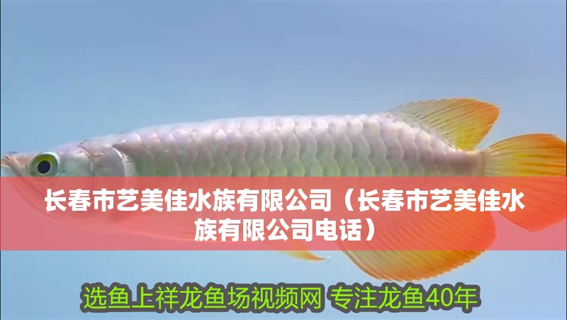 長春市藝美佳水族有限公司（長春市藝美佳水族有限公司電話）