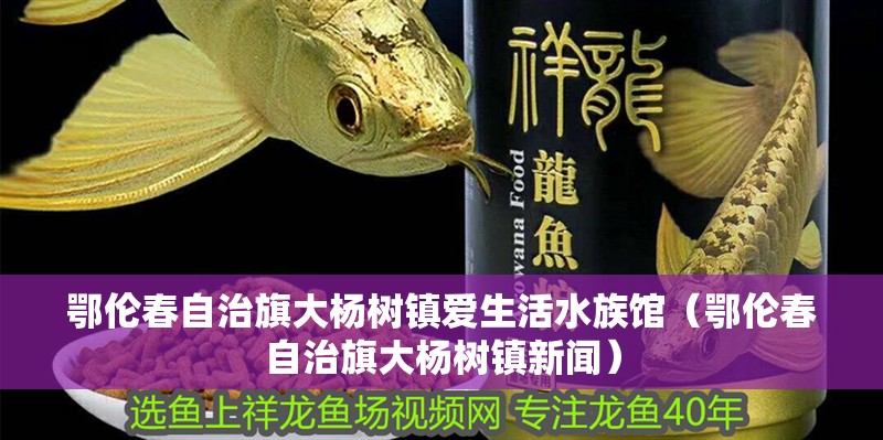 鄂倫春自治旗大楊樹鎮(zhèn)愛生活水族館（鄂倫春自治旗大楊樹鎮(zhèn)新聞）
