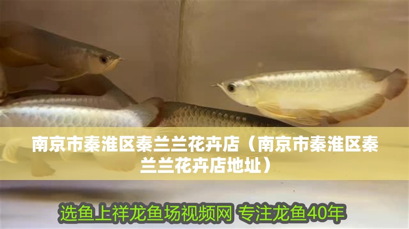 南京市秦淮區秦蘭蘭花卉店（南京市秦淮區秦蘭蘭花卉店地址）