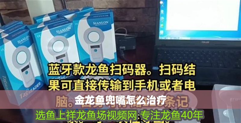 金龍魚兜嘴怎么治療