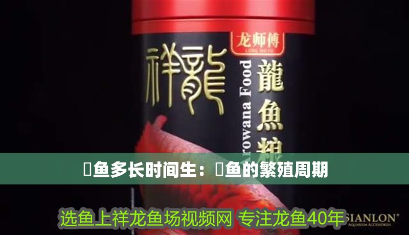 魟魚多長時間生：魟魚的繁殖周期