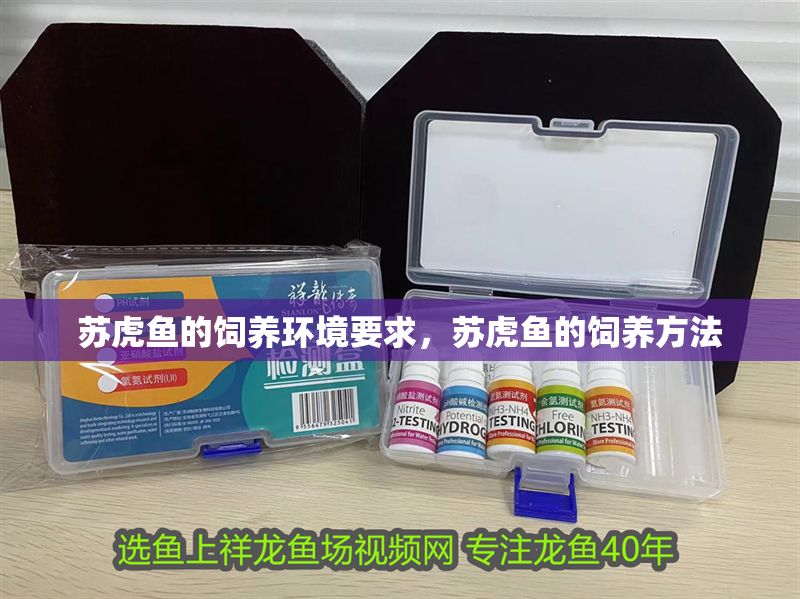 蘇虎魚的飼養環境要求，蘇虎魚的飼養方法