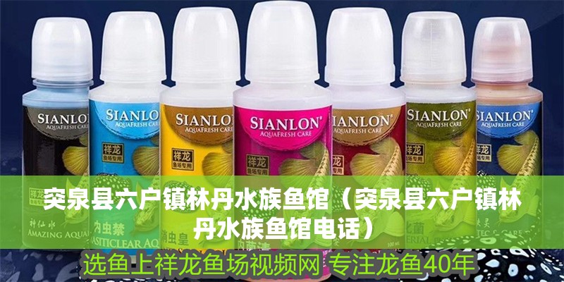 突泉縣六戶鎮林丹水族魚館（突泉縣六戶鎮林丹水族魚館電話） 突泉縣六戶鎮林丹水族魚館（突泉縣六戶鎮林丹水族魚館電話） 全國水族館企業名錄 第2張