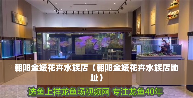 朝陽金媛花卉水族店（朝陽金媛花卉水族店地址）